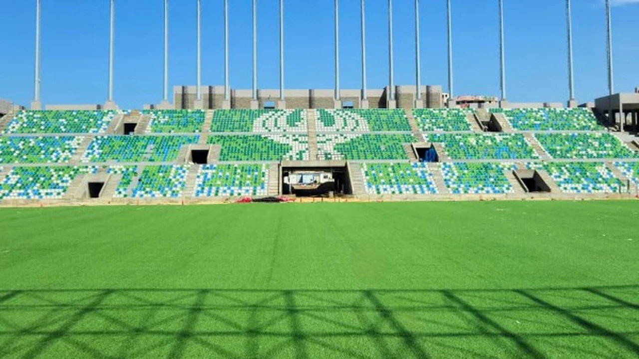 الرياضة تعلن إتمام زراعة نجيل ستاد المصري الجديد .. صور